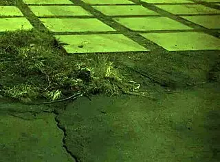 Penny Flame's Rough First Time Sex With Extreme Domination And Bondage