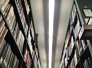 Pussy Worship, Pissing, And Bath With Lil Kittytheory