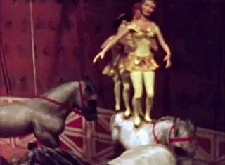 Vintage Illustration Collection