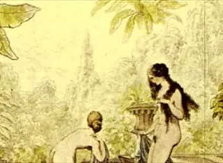 Vintage erotic sketches reveal raw sensual art details.