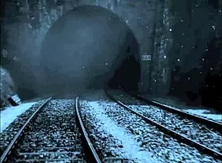 Vintage Illustration Collection