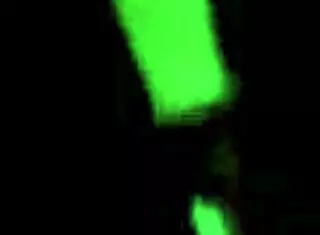 Dirty Latina Bent Over Assfucking