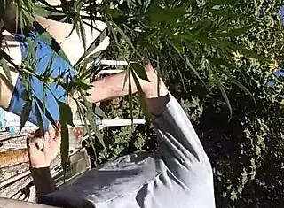 Hot Suck And Fuck In 420 Patch With Gay Guys Fucking!