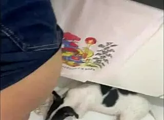 boss forces employee in the kitchen for a quick encounter