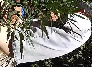 Hot Suck And Fuck In 420 Patch With Gay Guys Fucking!