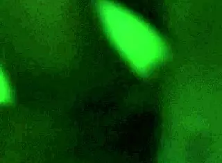 the ebony babe bends over for intense doggystyle fucking with a massive black cock