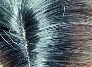 lola's favorite oral activity with monster cock.