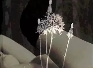 dark london vintage taboo with mother in law