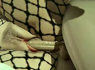 Hinata ready for sex in 3d hentai naruto uncensored