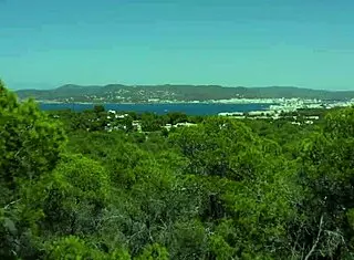 Vixen models' trip turns into fantasy threesome with deepthroat, spooning, and clothes ripped.