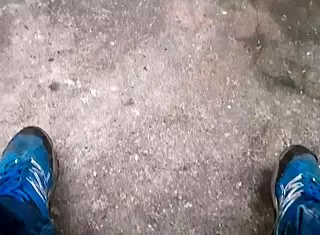 gay brasileiro no mato