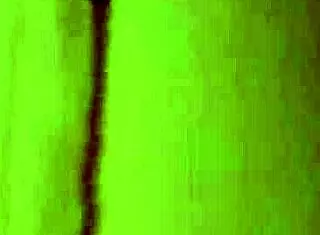 Brunette Performs POV Blowjob With Passion