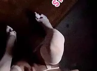 Staci Onit In Bunny Costume Masturbates Outdoors