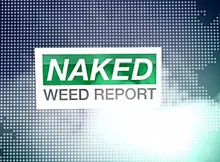 nwr episode four features a blonde amateur stripping nude