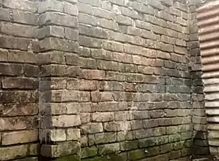 Mary Redhead Bursts With Three Gifted Men: Big Bambu, Capoeira Actor, Higor Negrao In Sexy Indian Sex