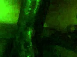 jenna jaymes deepthroats big cock in interracial facesitting session.