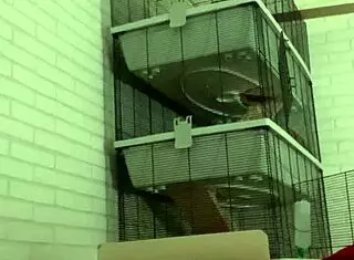 horny piss play happening on my sofa right now