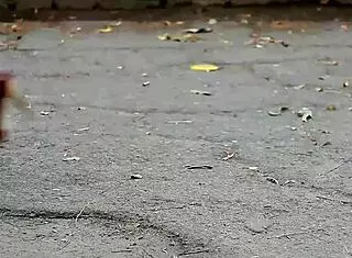 i'm watching arina g undress, her natural hairy tits and brunette body so softcore and sexy, but i can't stop staring