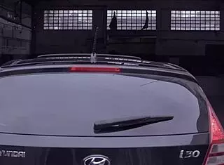 Fabi Thompson, Emme White, And Fernandinha Fernandes Engage In Lesbian Threesome With Big Tits And Crossdressing In Car