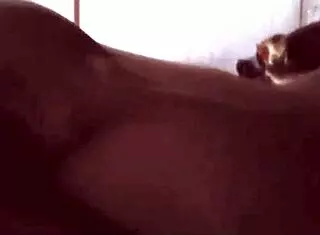 Amateur Couple Enjoying Holiday in Hotel