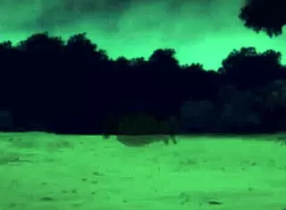 Hentai Anime Group Banging Assfucking Gangbang Anal Sex