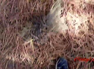 Sløset dyb mund i skoven ender med massiv ansigts-sprøjt