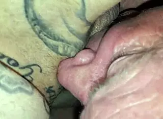 partner sucking brett's cock in gay blowjob session