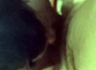 Amateur Slut Sucks My Cock in Detailed Gay Scene