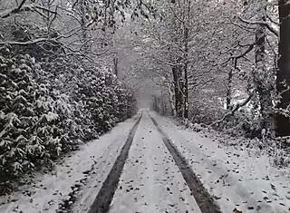 The chick with a huge ass received something special