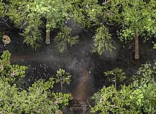 complete gameplay of lust epidemic part 22