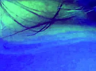 Blonde Big Ass Gets Monster Cock in Hotel Room