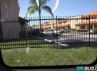 התחת הענק של סארה ג'יי מודפק על 305bus