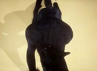 Pov view of two gay wolves fucking in wildlife with big ass and cum.