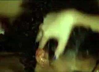 Willow ryder and diamond banks in ricky's room for bisexual threesome deepthroat licking and cowgirl quickie.