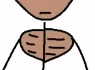 Top 5 countries with the loudest stomach rumbles.