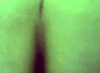 big ass amateur hentai with curvy figures