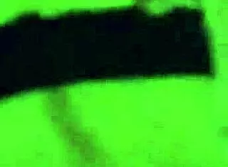 White and Black Daddies Gangbang Asian Twink in Orgy