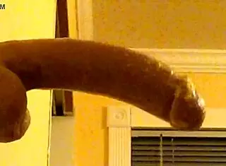 Gay guy deepthroats dildo in hood