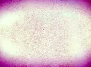 Velma and Fred fuck wildly in creepy house instead of mystery!