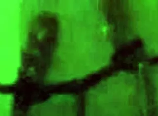 Vendo tv e chupando o marido filme swung