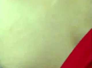 La Zorrita De La Villa