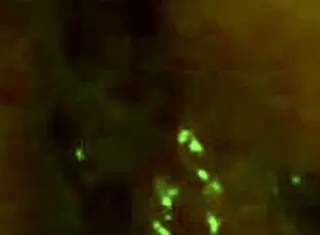 Uncle touches my hairy pussy 😏