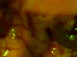 Uncle touches my hairy pussy 😏