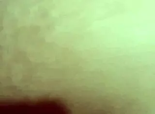 Fabinho's Adventures In The Capital Of Sp