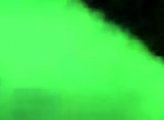 Fabinho's Adventures In The Capital Of Sp