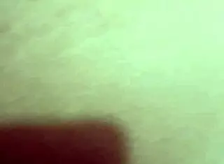 Fabinho's Adventures In The Capital Of Sp