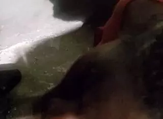 This verification video part 1 features a black blowjob 😏