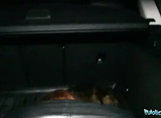 innocent ginger girl gets fucked over car bonnet by public agent