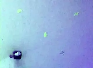 Babysitter Gets Rough Homemade Fuck