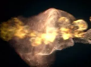 Emily with a big ass gets a hard anal scene – only anal sex